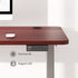 Maidesite Standard Series 55 inch Adjustable Electric Standing Desk Elite Edition